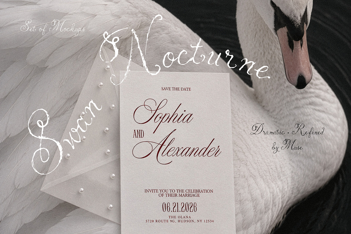 Swan Nocturne Editorial Mockups, an Advertising Mockup by Muse Mockups (Photo 5 of 12)