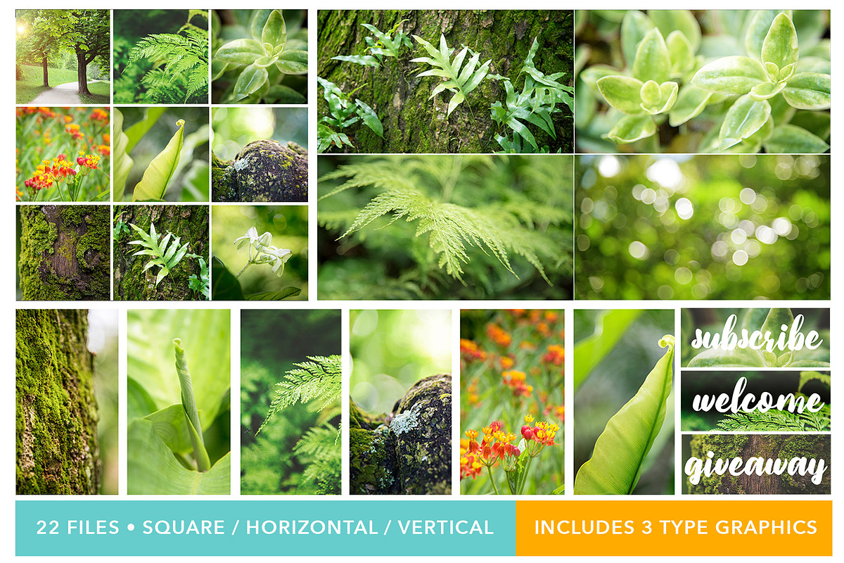 Forest Background Photo Bundle, a Nature Photo by kristiangallagher (Photo 2 of 5)