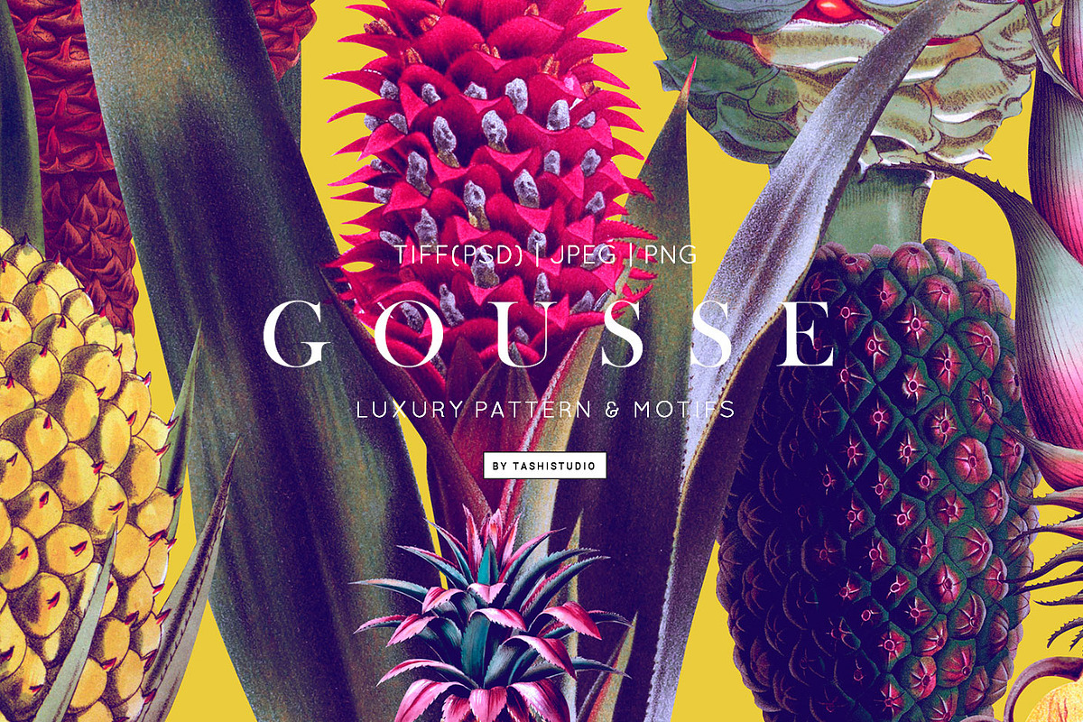 Gousse, Luxury Patterns & Motif!, a Wallpaper Graphic by Pink Linen (Photo 1 of 10)