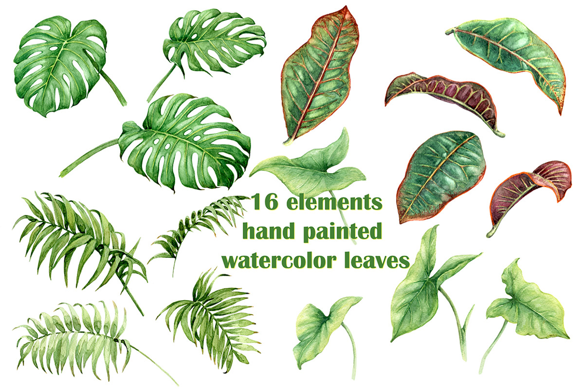 Watercolor Tropical Plants, a Decorative Illustration by Valentyna Smordova (Photo 3 of 6)