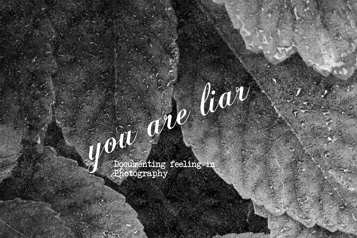 Coelogyne Script - Calligraphy Font, a Script Font by Scandy Font (Photo 3 of 6)