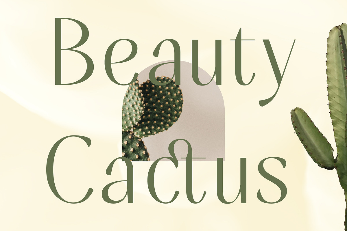Mugia Elegant Modern Display Font, a Sans Serif Font by timelesstype.co (Photo 2 of 20)