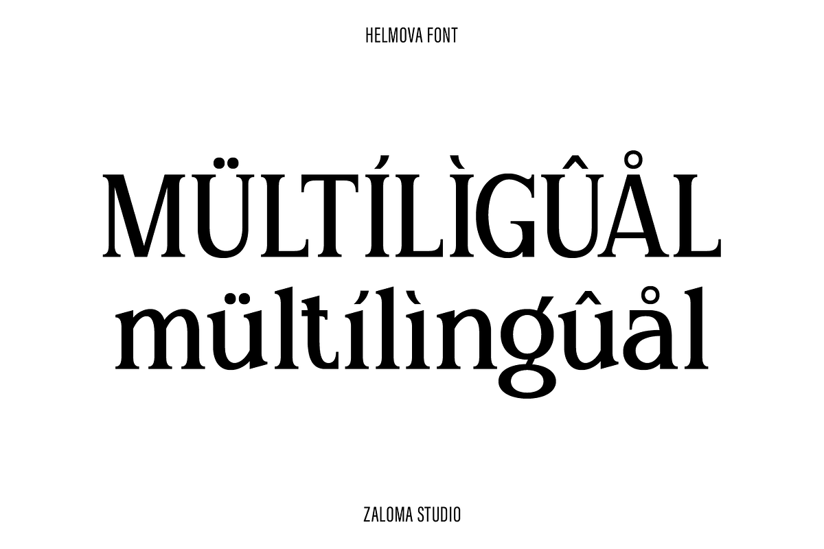 Helmova, a Serif Font by Zaloma Studio (Photo 13 of 18)