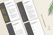 Web Developer Resume | IT Tech CV, a Resume Template by Stanin Studio (Thumbnail 7 of 10)