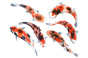 Watercolor Koi Fish Clipart. Fabric