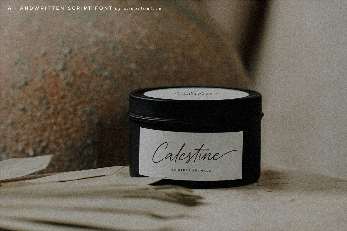 Bristleback, a Script Font by Shopifont.co (Photo 6 of 13)