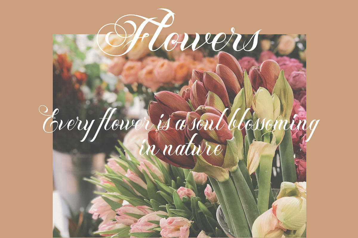 Torveil | Script Serif Typeface, a Serif Font by Artdez (Photo 4 of 5)