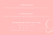 Histeagin Sans, a Sans Serif Font by Yahya Type (Thumbnail 14 of 17)