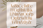 Rich Dashy Modern Elegant Serif, a Script Font by timelesstype.co (Thumbnail 12 of 20)