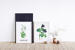 Botanical Watercolor Set