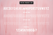 Darling Romans # Font Duo, a Script Font by Larin Type Co. (Thumbnail 10 of 11)