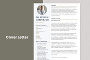 Executive Resume Template, a Resume Template by Anjum Ilyas (Thumbnail 5 of 7)