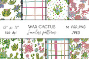 Cactus & Succulent Seamless Patterns, a Pattern Graphic by Lucyinyourheart (Thumbnail 1 of 10)