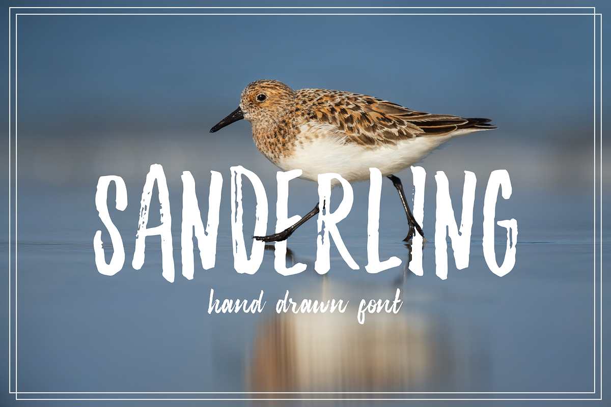 THREE FONT BUNDLE & extras, a Script Font by Lettering Supply Co. (Photo 14 of 17)