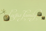 Auberge Script, a Script Font by Sudtipos (Thumbnail 8 of 11)