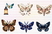 Watercolor  Night Moths Clipart, an Illustration by CreationArt (Thumbnail 3 of 6)