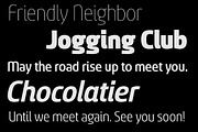 Sancoale Narrow, a Sans Serif Font by insigne (Thumbnail 3 of 5)