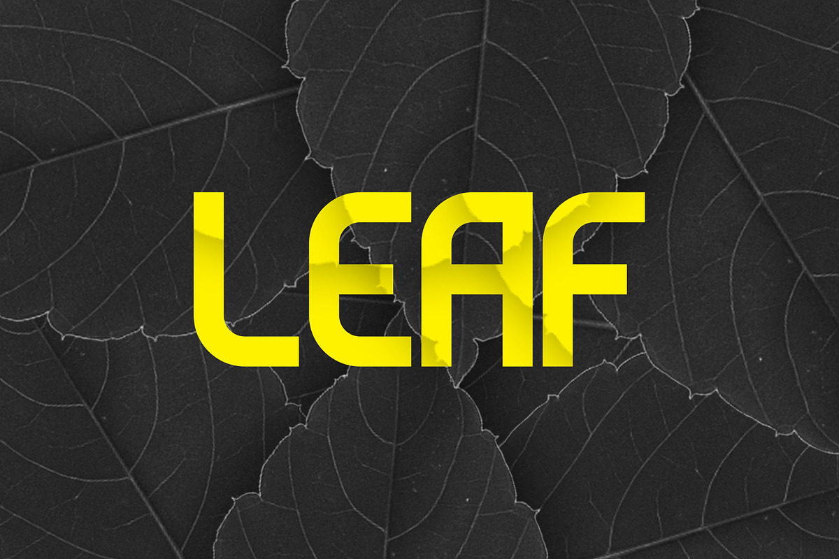 Evo - Sans & Decorative Typeface, a Font by Graphicado (Photo 9 of 10)
