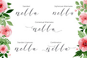 Nella Script (update), a Script Font by Olexstudio (Thumbnail 5 of 5)