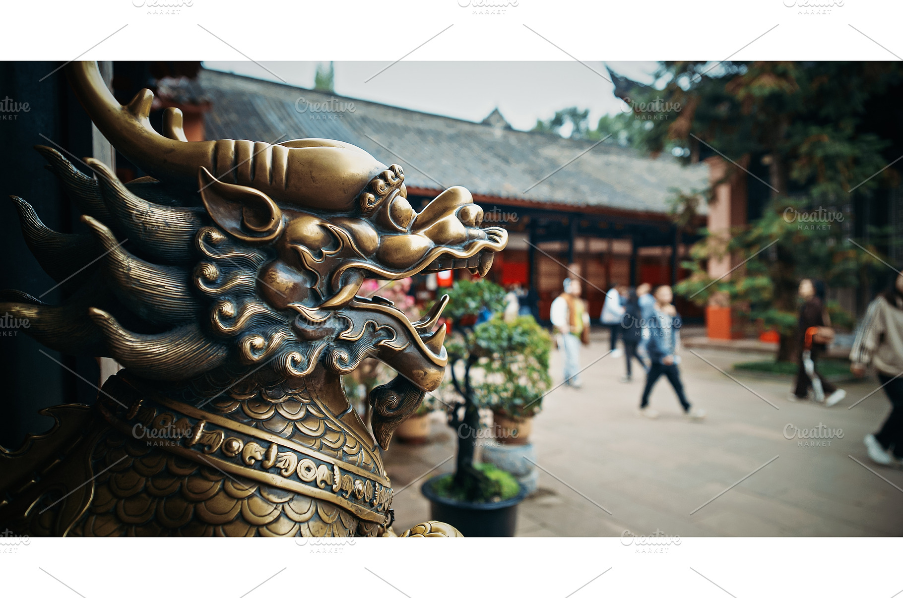 Chengdu, Sichuan, China. Bronze Lion, a Person Photo by Our Amazing World
