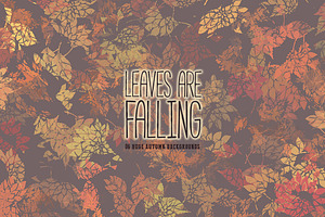 Leaves Are Falling