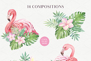 SALE!Tropical Blossom Watercolor Set, a Decorative Illustration by Irina Diasli (Thumbnail 3 of 14)