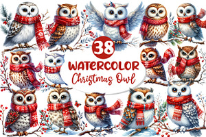 Christmas Owl Clipart PNG, an Illustration by Dream Creation
