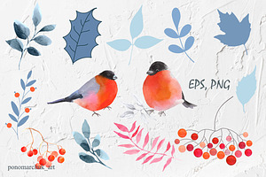 Winter Birds. Vector collection