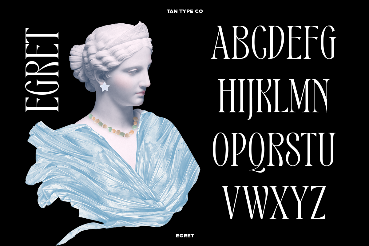 TAN - EGRET, a Serif Font by TanType (Photo 6 of 19)