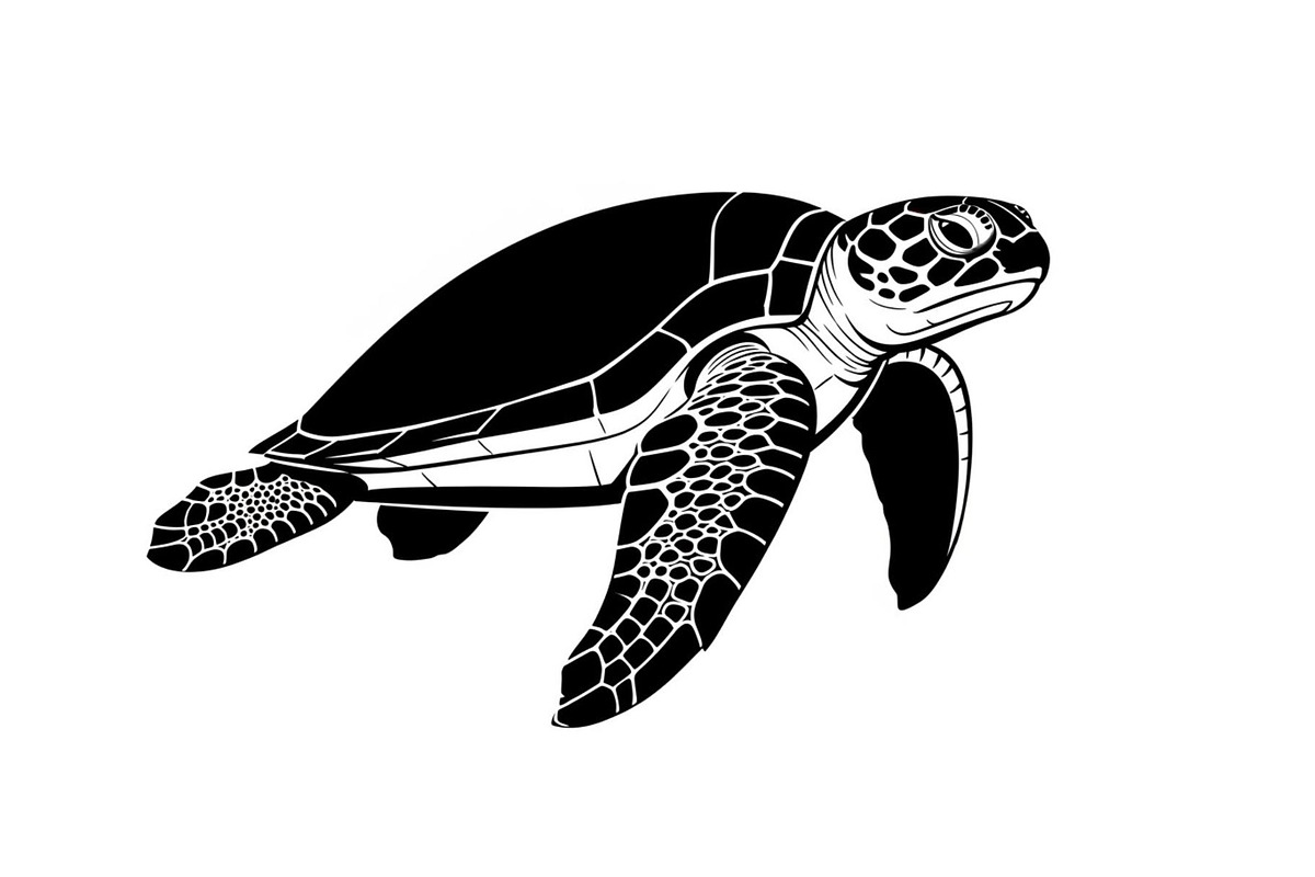 50 Sea Turtle Vector Silhouette Bund, an Illustration by jahid234 (Photo 34 of 51)