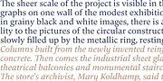 Carat, a Serif Font by Hoftype (Thumbnail 4 of 6)