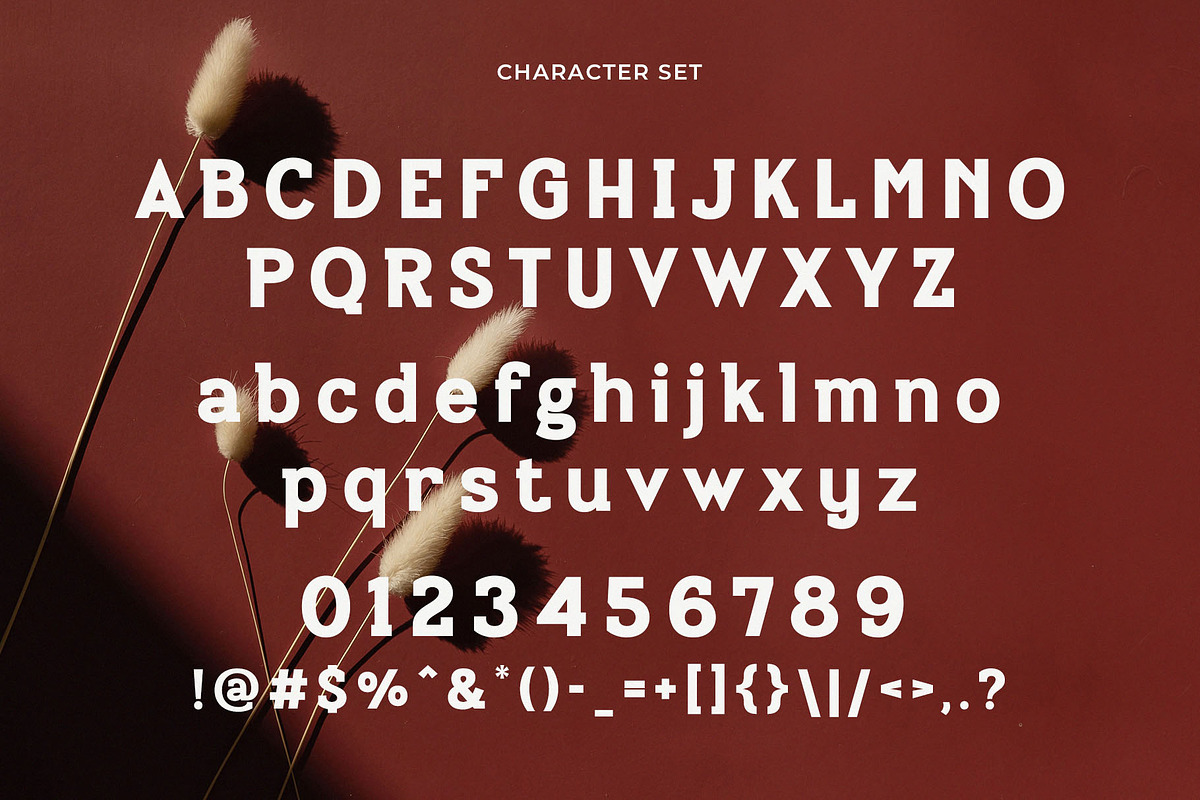 Bilanger - Modern Sans Serif, a Sans Serif Font by Typeformers (Photo 5 of 5)