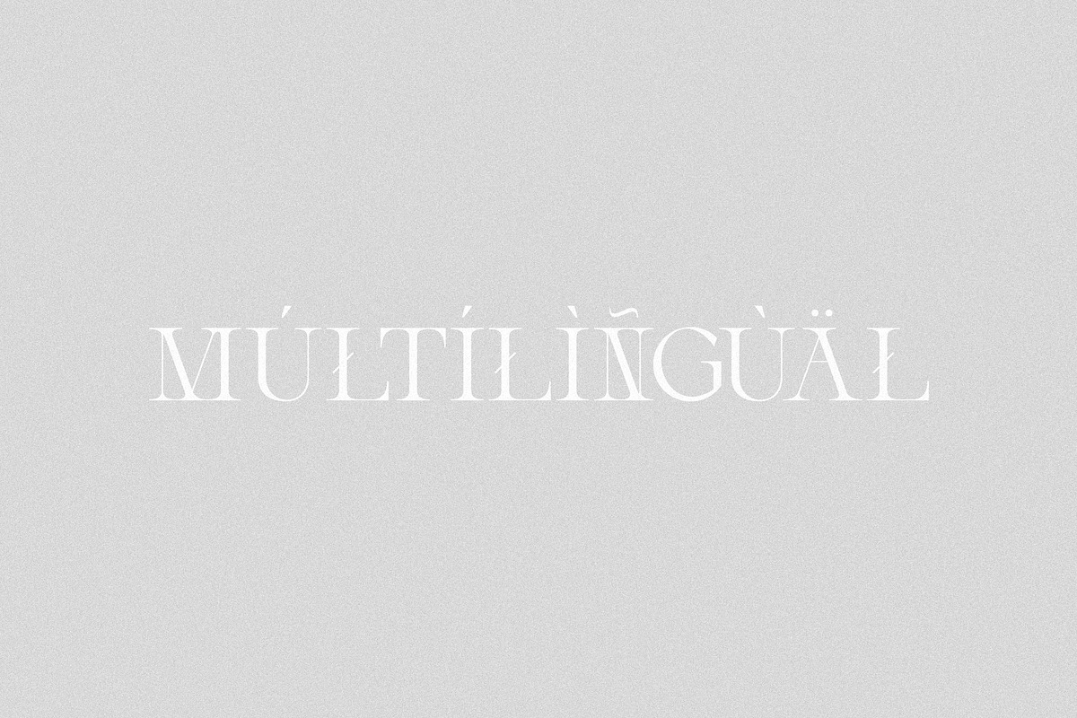 Aveline - Elegant Serif, a Serif Font by Schrifted Type (Photo 8 of 8)