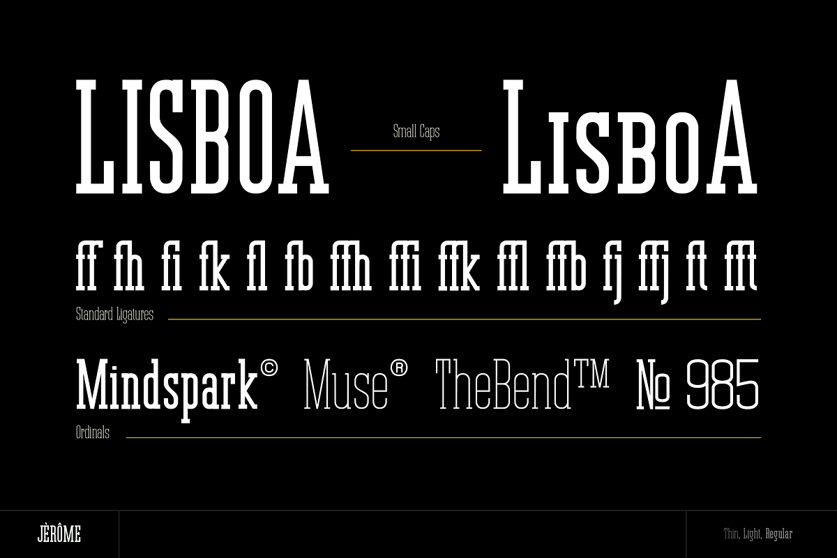 Jerome - Condensed Slab Serif, a Slab Serif Font by peterdraw (Photo 8 of 17)
