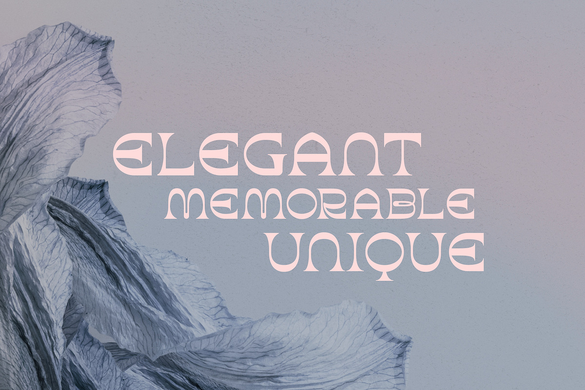 Aurora - Brutalist Display Typeface, a Serif Font by HipFonts (Photo 2 of 8)