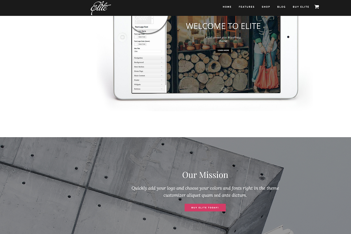 Elite Business/WooCommerce WP Theme, a WordPress Template by Organized Themes (Photo 4 of 12)
