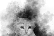 150 Photoshop Fog Brush & Png Bundle, a Brush Add-On by MRI STUDIO (Thumbnail 10 of 21)