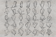 100 Magnolia Procreate Stamps, a Brush Add-On by TheWhiteCatLab (Thumbnail 2 of 5)