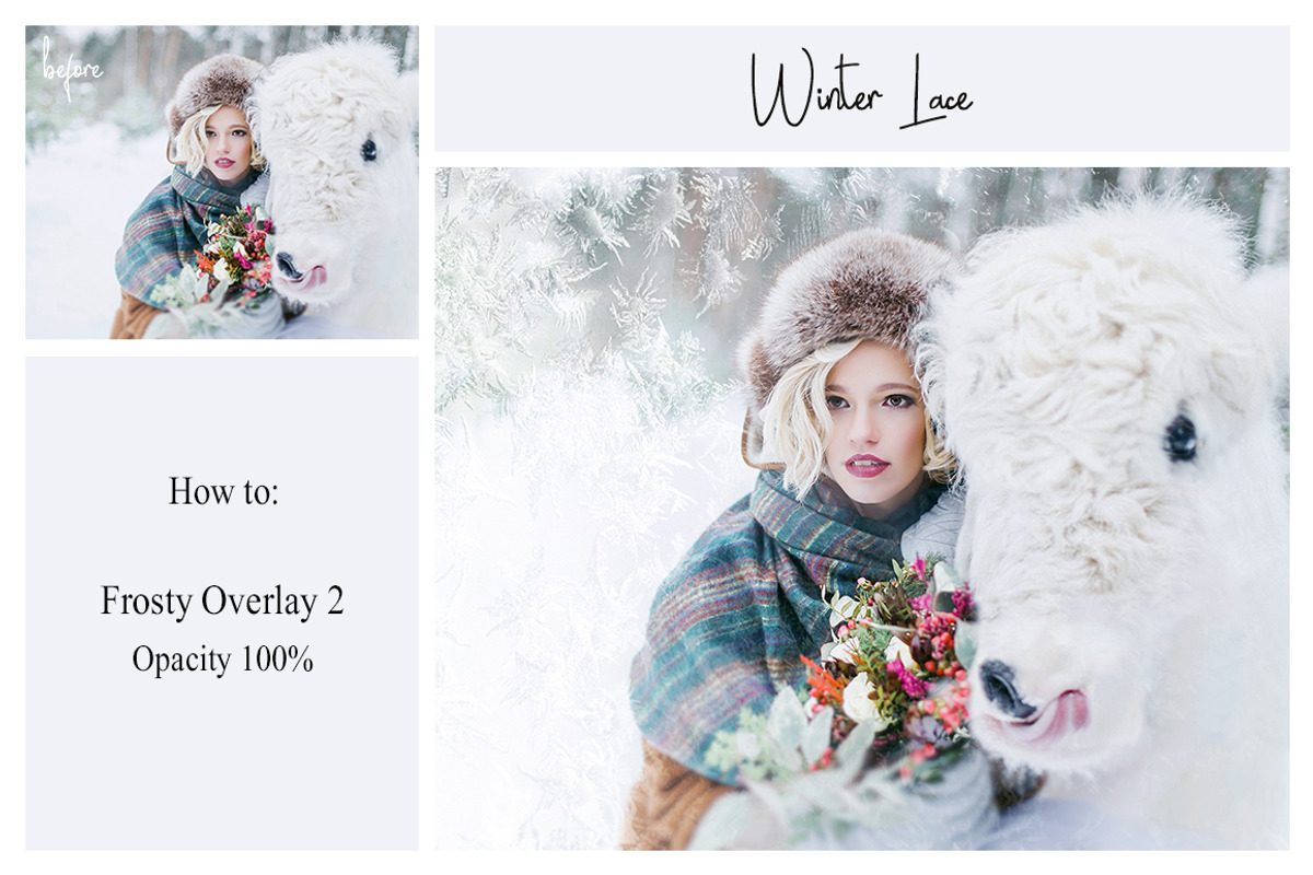 35 PNG Frosty Pattern Overlays, a Texture Graphic by LovePhotoMoment (Photo 5 of 11)