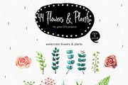 Amy in Wonderforest - hand drawn set, a Decorative Illustration by Satika (Thumbnail 8 of 15)