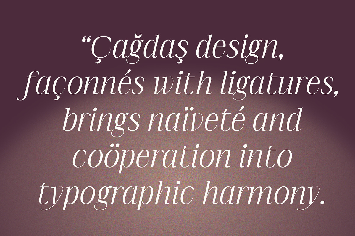 Imperial Aureas a Minimal Serif, a Serif Font by Lettertype Studio (Photo 6 of 16)