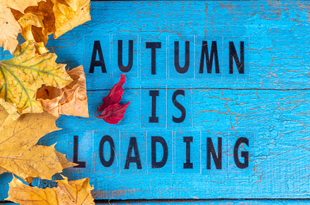 Autumn fall leaves background, a Holiday Photo by Rimma