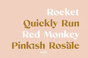 Kelly - Classy Sans Serif, a Sans Serif Font by Kaligra.co (Thumbnail 30 of 38)