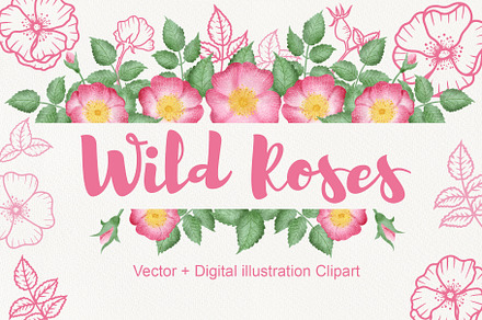 Wild Rose Clipart (Rose Hip)