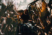 The Lightroom Preset Bundle, an Action Add-On by Preset Works (Thumbnail 2 of 17)