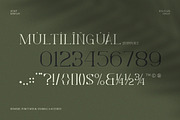 Levelly Luxury Premium Serif Font, a Serif Font by Artiveko (Thumbnail 5 of 9)