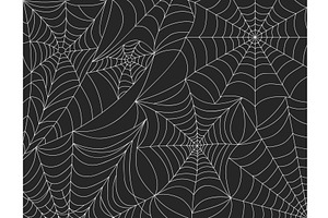 Halloween Spider Web Background