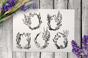 Wild field herbs. Botanical set., a Healthcare Illustration by Alena Kaz (Thumbnail 9 of 12)