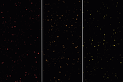 10 Glitter shiny overlays, a Texture Graphic by Kat Anti (Thumbnail 6 of 7)
