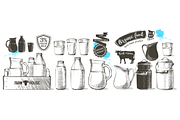 Cows and Milk. Hand drawn Vector set, an Animal Illustration by Alltruecolours (Thumbnail 5 of 6)